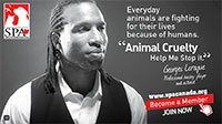 I Help Animals Website